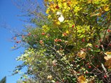 Document 17733