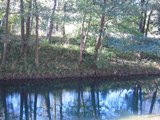 Document 17734