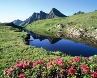 Tirol lake