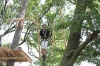 В Венском лесу открывается крупнейший веревочный парк