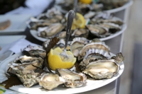 oysters france