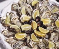 oyster_languedoc